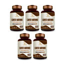 Cardo Mariano Essencial Bio 500mg – 60 cápsulas