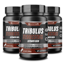Tribulus Terrestris LanderLabs 500mg – 60 cápsulas