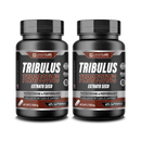 Tribulus Terrestris LanderLabs 500mg – 60 cápsulas