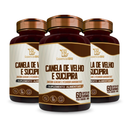 Canela de Velho + Sucupira Essencial Bio 500mg – 60 cápsulas
