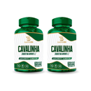 Cavalinha Essencial Bio 500mg – 60 cápsulas