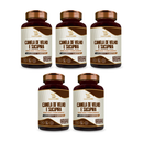 Canela de Velho + Sucupira Essencial Bio 500mg – 60 cápsulas