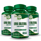 Erva Baleeira 500mg 60 Cápsulas – Essencial Bio