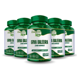 Erva Baleeira 500mg 60 Cápsulas – Essencial Bio