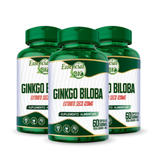 Ginkgo Biloba Extrato Seco 120mg 60 Cápsulas 500mg – Essencial Bio