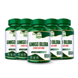 Ginkgo Biloba Extrato Seco 120mg 60 Cápsulas 500mg – Essencial Bio