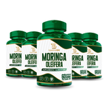 Moringa Oleífera Essencial Bio 500mg – 60 Cápsulas