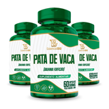 Pata de Vaca Essencial Bio 500mg – 60 Cápsulas